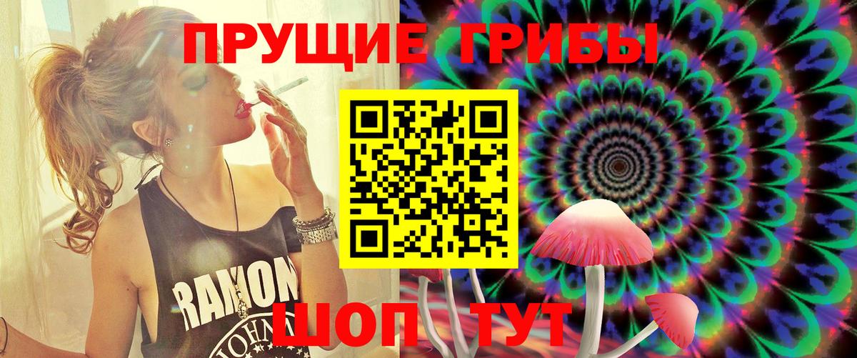 Галлюциногенные грибы прущие грибы  Галлюциногенные грибы MAGIC MUSHROOMS  Вход с VPN  Чайковский 