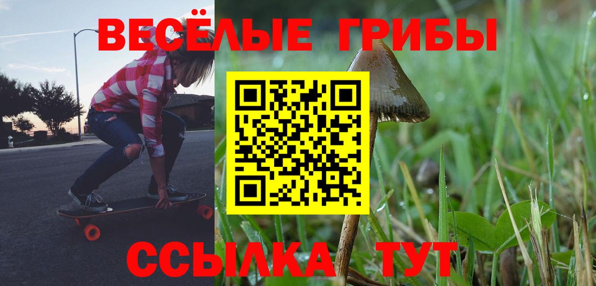 Галлюциногенные грибы Psilocybine cubensis Чайковский